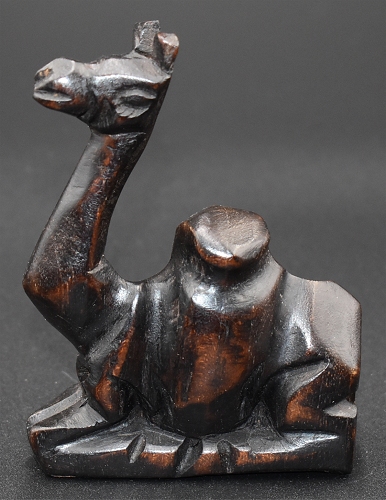 Camel